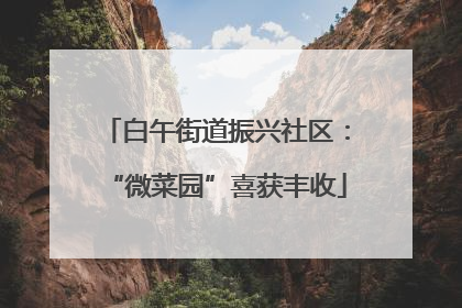 白午街道振兴社区：“微菜园”喜获丰收
