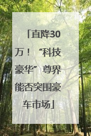 直降30万！“科技豪华”尊界能否突围豪车市场