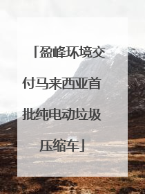盈峰环境交付马来西亚首批纯电动垃圾压缩车
