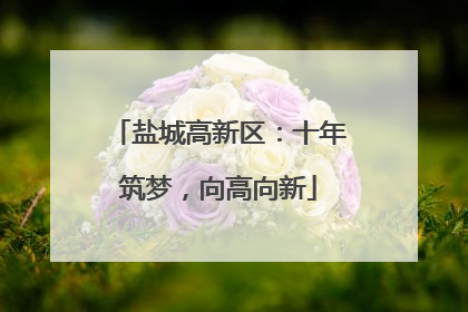 盐城高新区：十年筑梦，向高向新