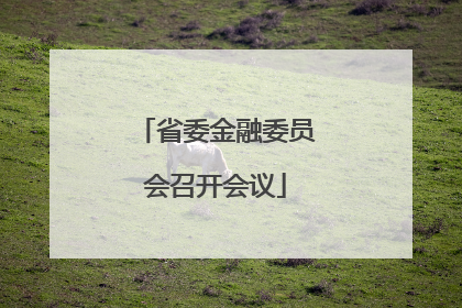 省委金融委员会召开会议