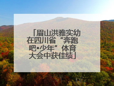 眉山洪雅实幼在四川省“奔跑吧•少年”体育大会中获佳绩