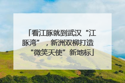 看江豚就到武汉“江豚湾”，新洲双柳打造“微笑天使”新地标
