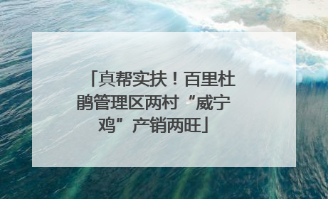 真帮实扶！百里杜鹃管理区两村“威宁鸡”产销两旺