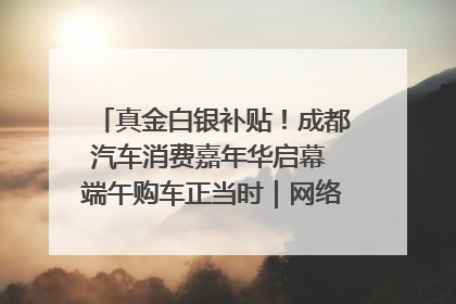 真金白银补贴！成都汽车消费嘉年华启幕 端午购车正当时｜网络中国节·端午