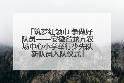 筑梦红领巾 争做好队员——安徽省龙亢农场中心小学举行少先队新队员入队仪式