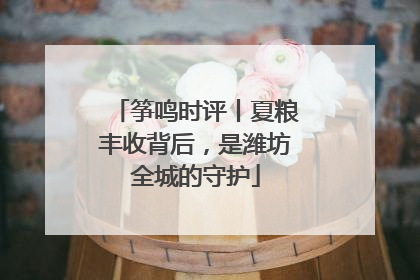 筝鸣时评丨夏粮丰收背后，是潍坊全城的守护