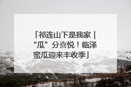 祁连山下是我家｜“瓜”分喜悦！临泽蜜瓜迎来丰收季