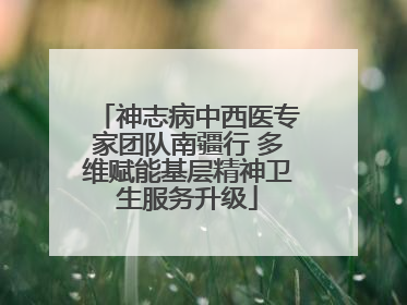 神志病中西医专家团队南疆行 多维赋能基层精神卫生服务升级