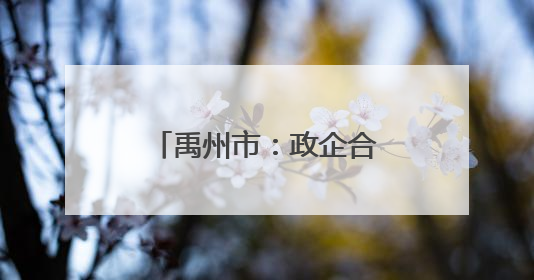 禹州市：政企合力推动绿色转型