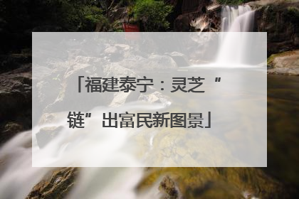 福建泰宁：灵芝“链”出富民新图景