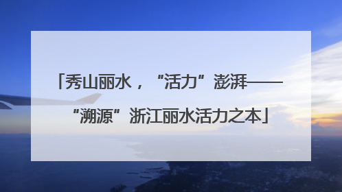 秀山丽水，“活力”澎湃——“溯源”浙江丽水活力之本