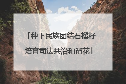 种下民族团结石榴籽 培育司法共治和谐花