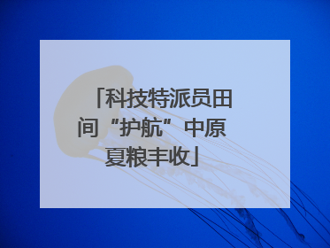科技特派员田间“护航”中原夏粮丰收