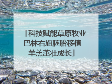 科技赋能草原牧业 巴林右旗胚胎移植羊羔茁壮成长