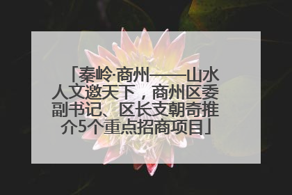 秦岭·商州——山水人文邀天下，商州区委副书记、区长支朝奇推介5个重点招商项目