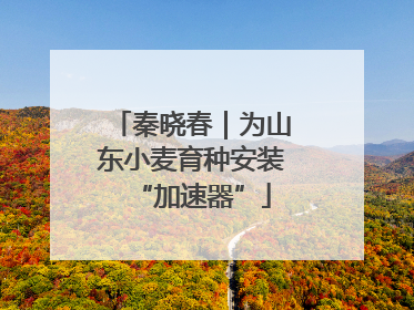 秦晓春｜为山东小麦育种安装“加速器”