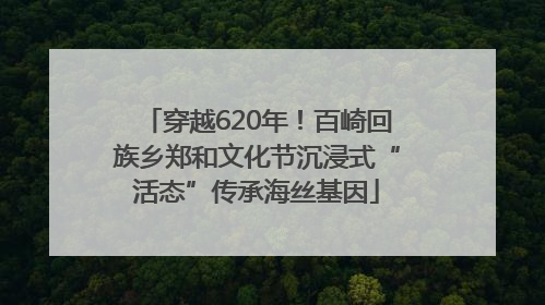 穿越620年！百崎回族乡郑和文化节沉浸式“活态”传承海丝基因