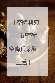 空降利刃——记空军空降兵某旅三营