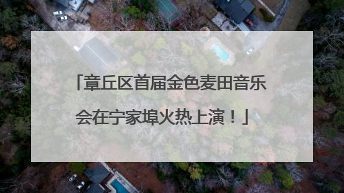 章丘区首届金色麦田音乐会在宁家埠火热上演！