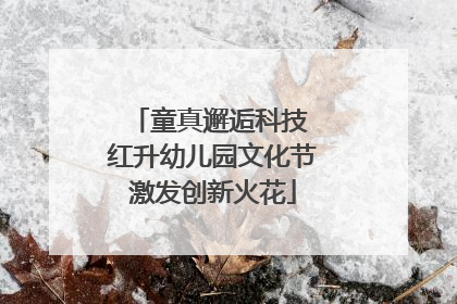 童真邂逅科技 红升幼儿园文化节激发创新火花