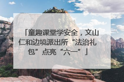 童趣课堂学安全，文山仁和边境派出所“法治礼包”点亮“六一”