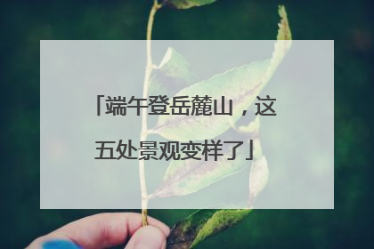 端午登岳麓山，这五处景观变样了