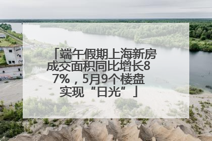 端午假期上海新房成交面积同比增长87%，5月9个楼盘实现“日光”