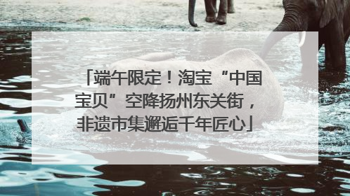 端午限定！淘宝“中国宝贝”空降扬州东关街，非遗市集邂逅千年匠心