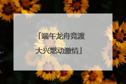 端午龙舟竞渡 大兴燃动激情
