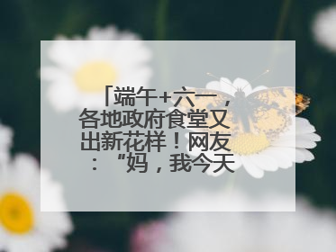 端午+六一，各地政府食堂又出新花样！网友：“妈，我今天不回家吃了”