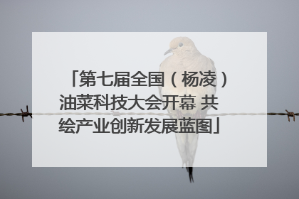 第七届全国（杨凌）油菜科技大会开幕 共绘产业创新发展蓝图