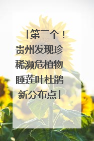 第三个！贵州发现珍稀濒危植物睡莲叶杜鹃新分布点