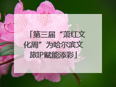 第三届“萧红文化周”为哈尔滨文旅IP赋能添彩