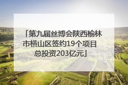 第九届丝博会陕西榆林市横山区签约19个项目 总投资203亿元