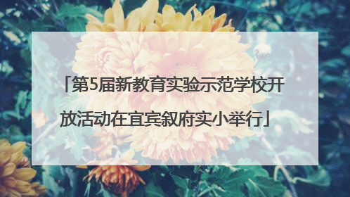 第5届新教育实验示范学校开放活动在宜宾叙府实小举行
