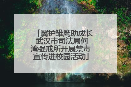 翼护雏鹰助成长 武汉市司法局何湾强戒所开展禁毒宣传进校园活动