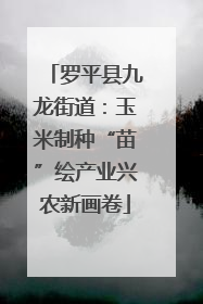 罗平县九龙街道：玉米制种“苗”绘产业兴农新画卷