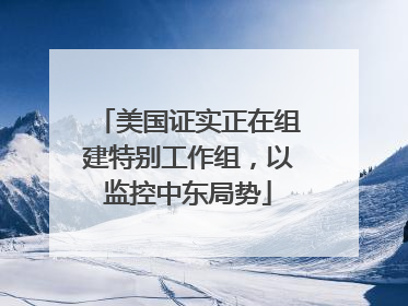 美国证实正在组建特别工作组，以监控中东局势