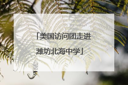 美国访问团走进潍坊北海中学