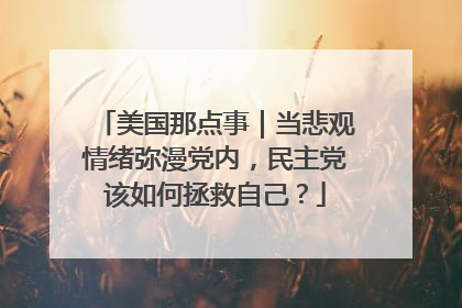 美国那点事｜当悲观情绪弥漫党内，民主党该如何拯救自己？