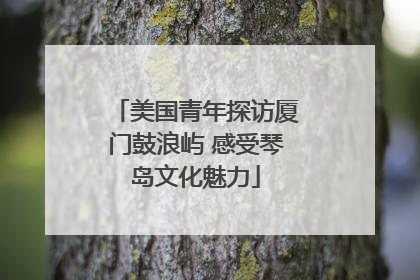 美国青年探访厦门鼓浪屿 感受琴岛文化魅力