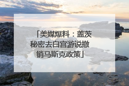 美媒爆料：盖茨秘密去白宫游说撤销马斯克政策