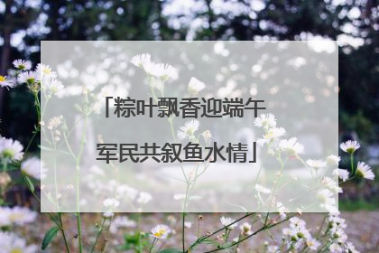 粽叶飘香迎端午 军民共叙鱼水情