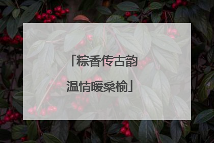粽香传古韵 温情暖桑榆