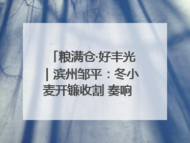 粮满仓·好丰光｜滨州邹平：冬小麦开镰收割 奏响夏日丰收曲