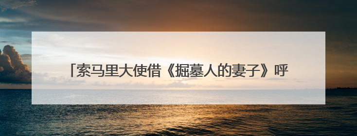 索马里大使借《掘墓人的妻子》呼吁：请把索马里人“人性化”！