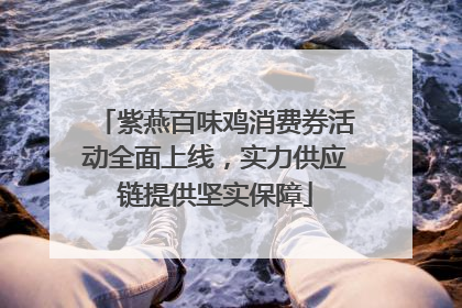 紫燕百味鸡消费券活动全面上线，实力供应链提供坚实保障