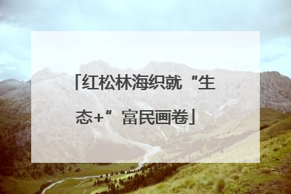红松林海织就“生态+”富民画卷