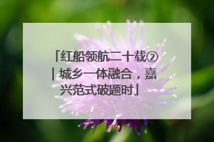 红船领航二十载②｜城乡一体融合，嘉兴范式破题时